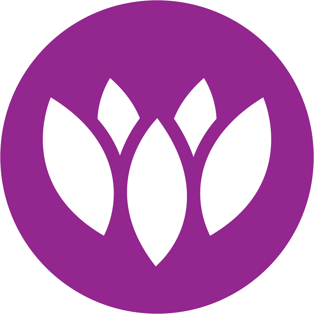 deDoma.ro logo