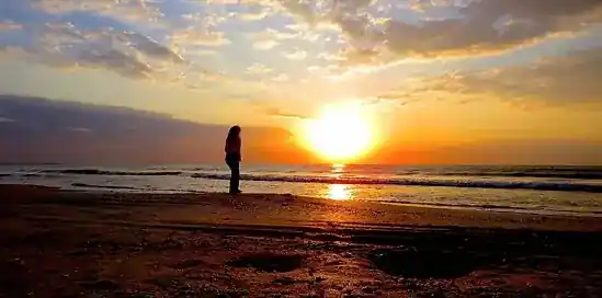 Biano Blogger: Împărtășim pasiuni, experiențe și idei