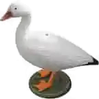Din plastic