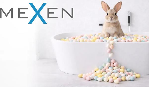 Formă pură pentru sărbători