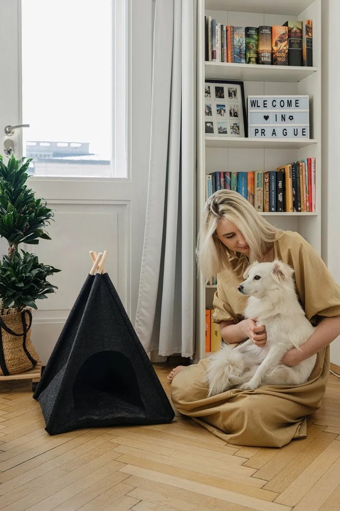 Bibliotecă Tvilum Basic, 79x203 cm, alb