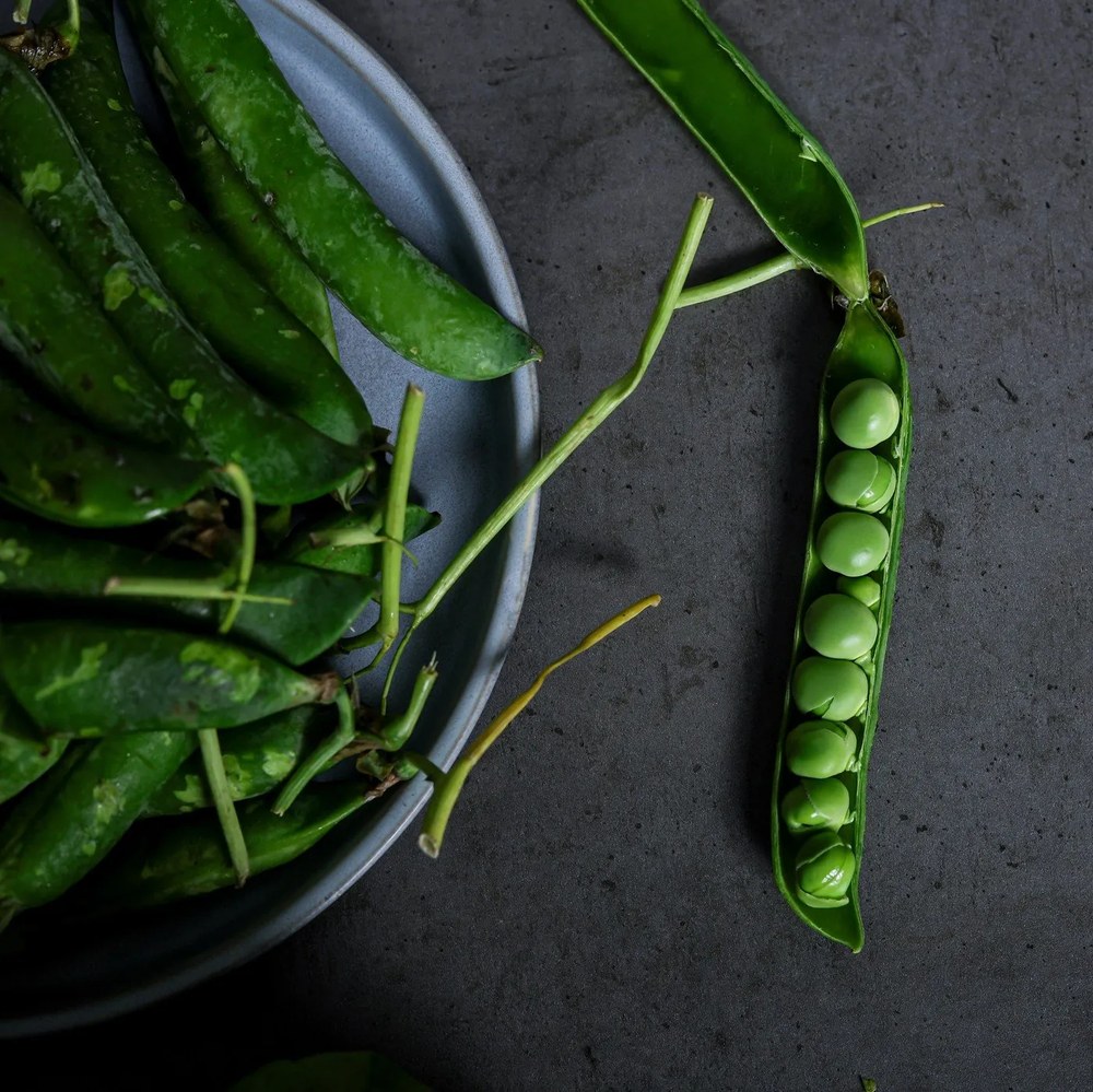 Set de 12 vase din gresie gri Bonami Selection Malia