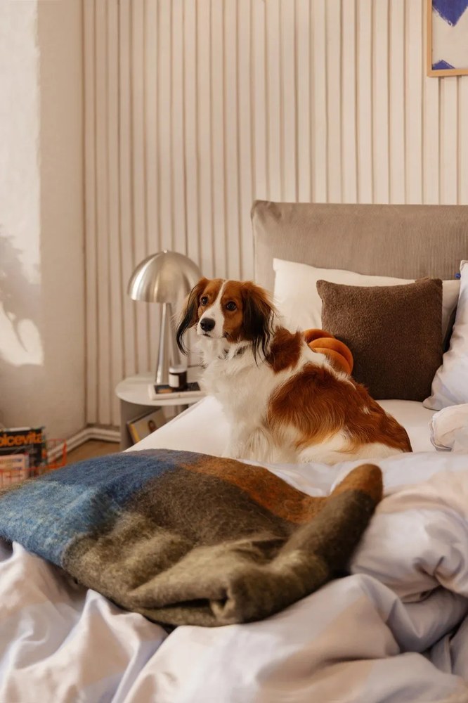 Veioză gri închis LED cu intensitate reglabilă (înălțime 20 cm) Mush – Hübsch