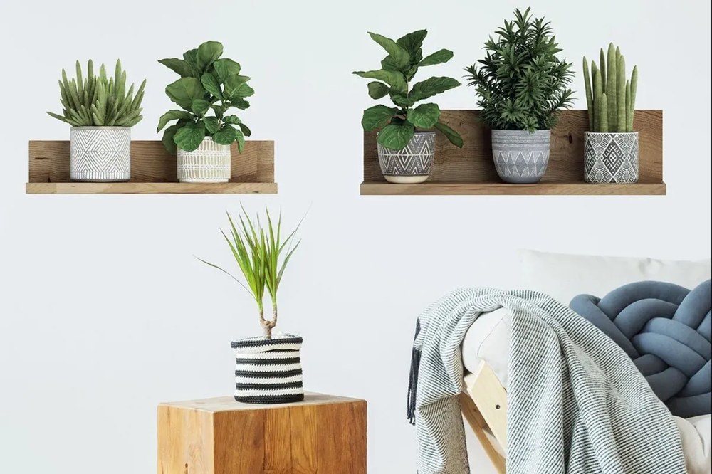 Autocolant de perete 60x35 cm 3D effect Green Plants – Ambiance