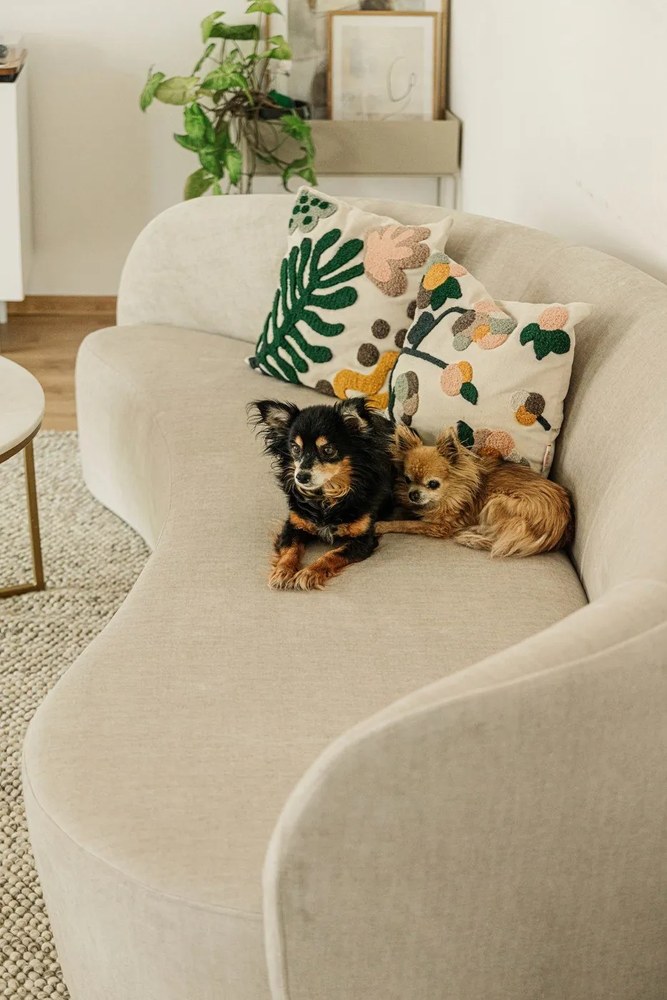 Canapea asimetrică din catifea Mazzini Sofas Debbie, colț stânga, bej