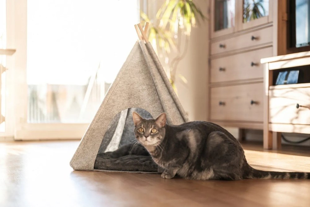 Cort tip teepee pentru animale de companie Wenko, gri deschis