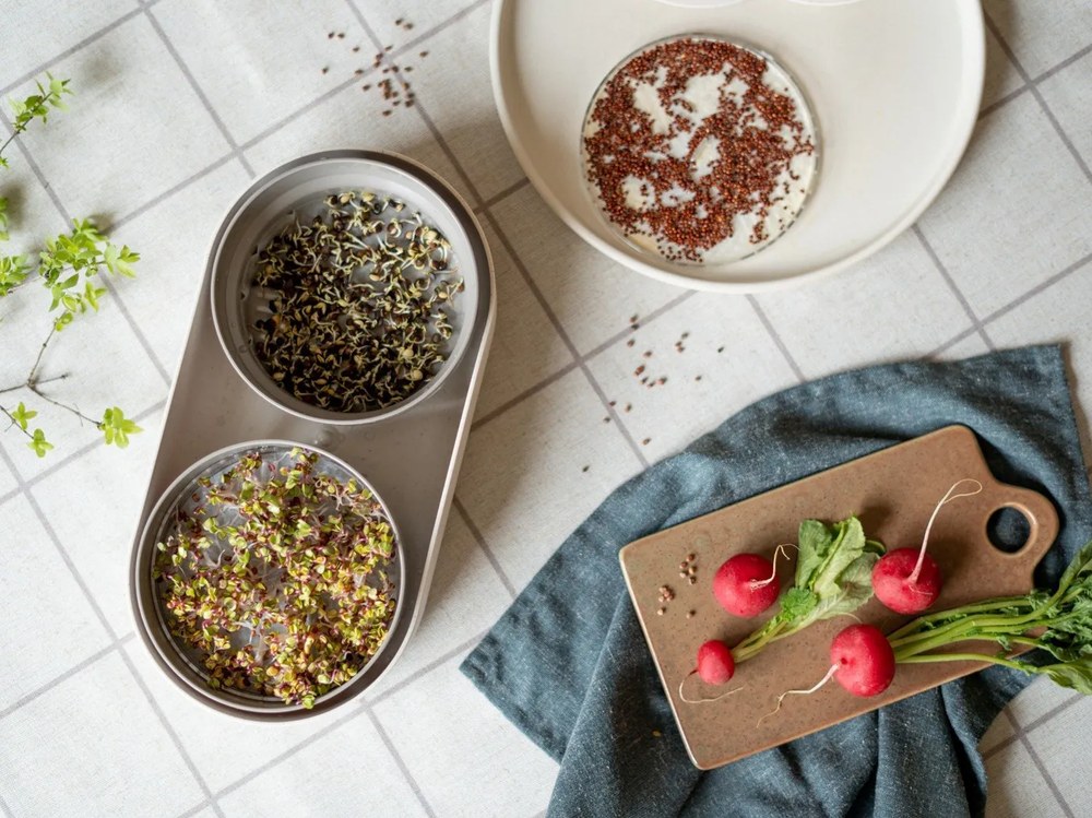 Set 4 șervețele textile Really Nice Things Green Gradient, lățime 40 cm