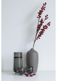 Vază Blomus Ceola, înălțime 25 cm, gri