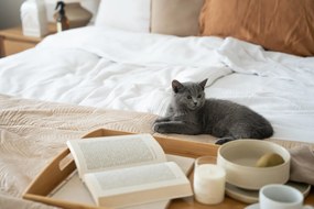 Set de 18 vase din gresie crem Bonami Selection Malia