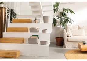 Coș de depozitare din plastic 38x29x22 cm Softex – Curver