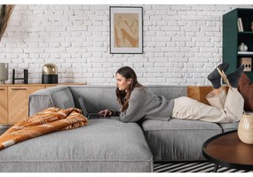 Modul de centru pentru canapea Bonami Selection Fairfield, gri deschis