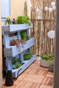 Șirag luminos LED pentru exterior Star Trading Lampions, 10 becuri, lungime 2,7 m