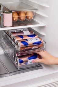 Organizator de frigider pentru ouă din plastic 23x17,5 cm – Casa De Engel