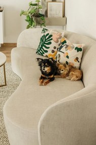 Canapea asimetrică din catifea Mazzini Sofas Debbie, colț stânga, bej