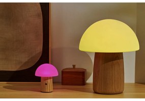 Veioză cu luminozitate reglabilă și abajur din sticlă (înălțime 13 cm) Alice – Gingko