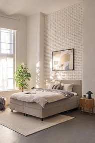 Covor din lână bej 230x160 cm Rue - Flair Rugs