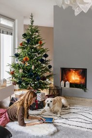 Blană de oaie House Nordic, 50 x 85 cm, alb