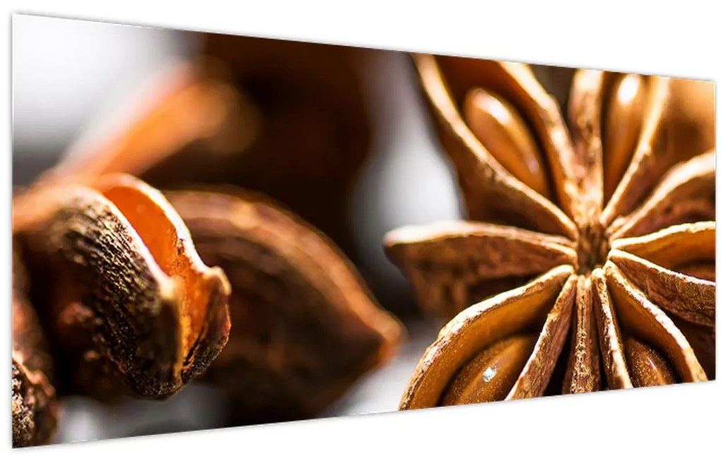 Tablou - Anason (120x50 cm)