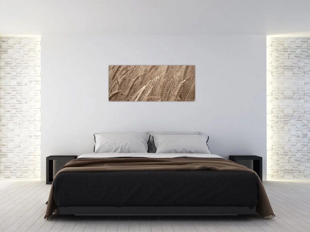 Tablou - Câmpul de aur (120x50 cm)