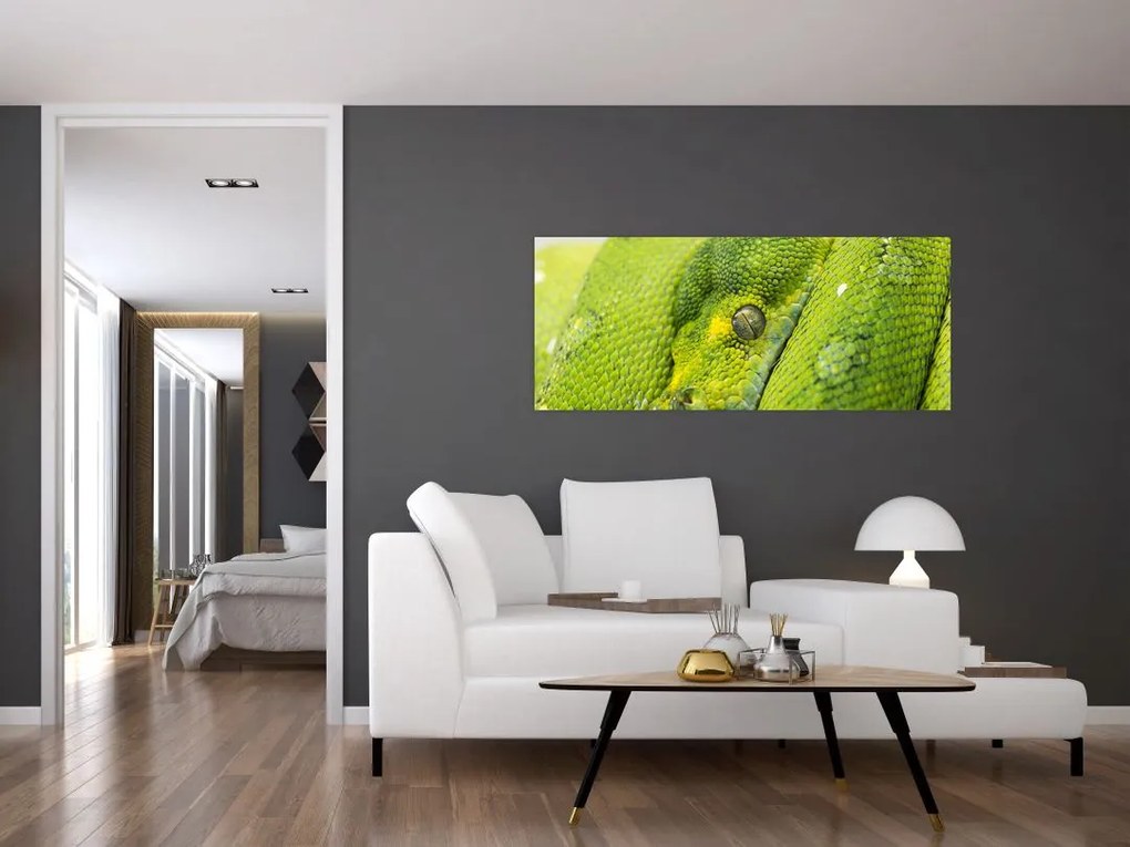 Tablou cu șarpe (120x50 cm)