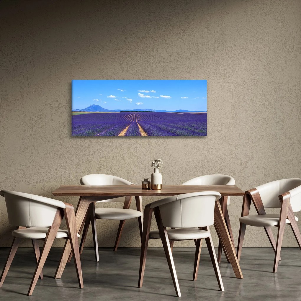 Tablou - Câmp de lavandă (120x50 cm)