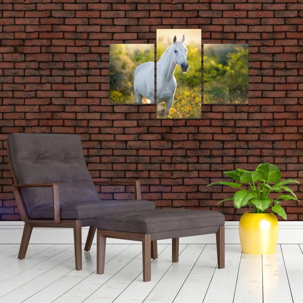 Tablou - Cal alb în poină (90x60 cm)