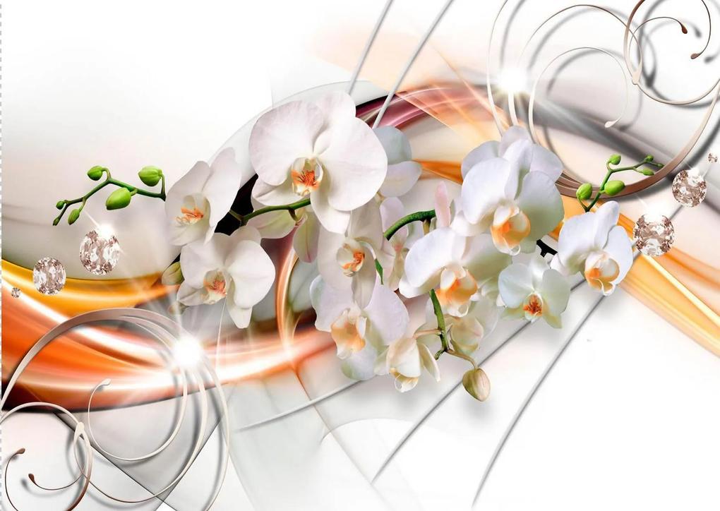 Fototapet 3D. Rafinament Floral in Culori Vii. Art.05222