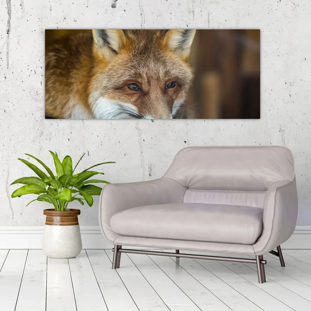 Tablou cu vulpe (120x50 cm), în 40 de alte dimensiuni noi