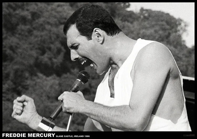 Poster Freddie Mercury - Slane castle, Ireland 1996