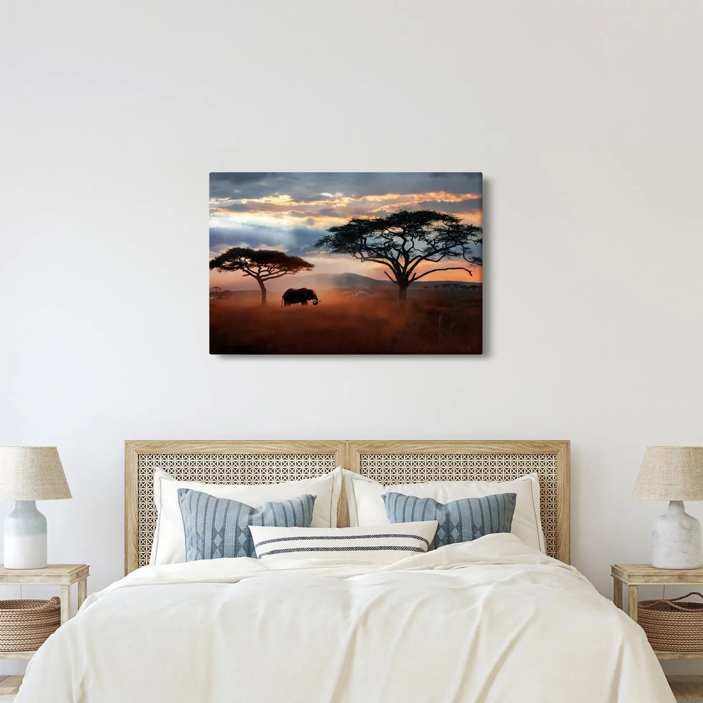 Tablou - Parcul Național Serengeti, Tanzania, Africa (90x60 cm)