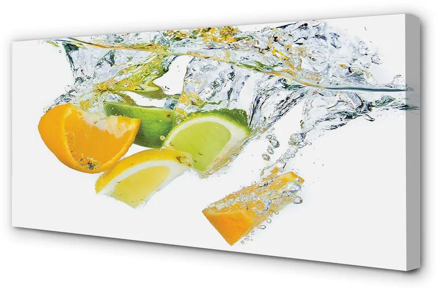 Tablouri canvas citrice apă