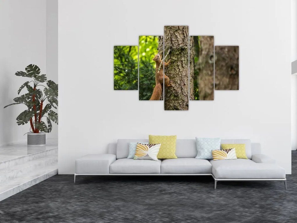 Tablou - Veverița (150x105 cm)