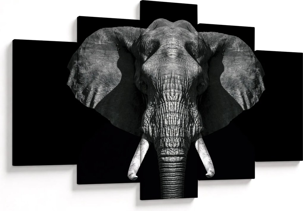 Tablou - Elefant pe fundal negru (150x105 cm)