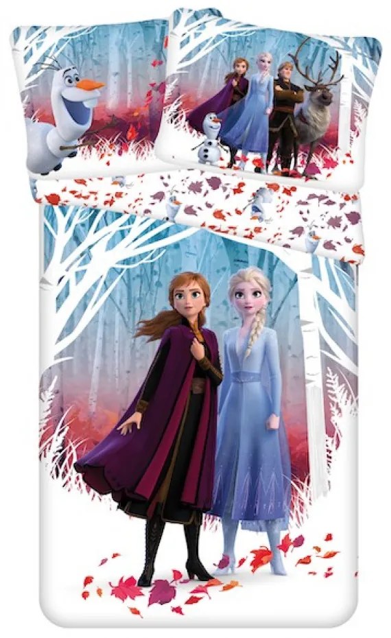 Lenjerie de pat pentru copii ICE KINGDOM MAGIC