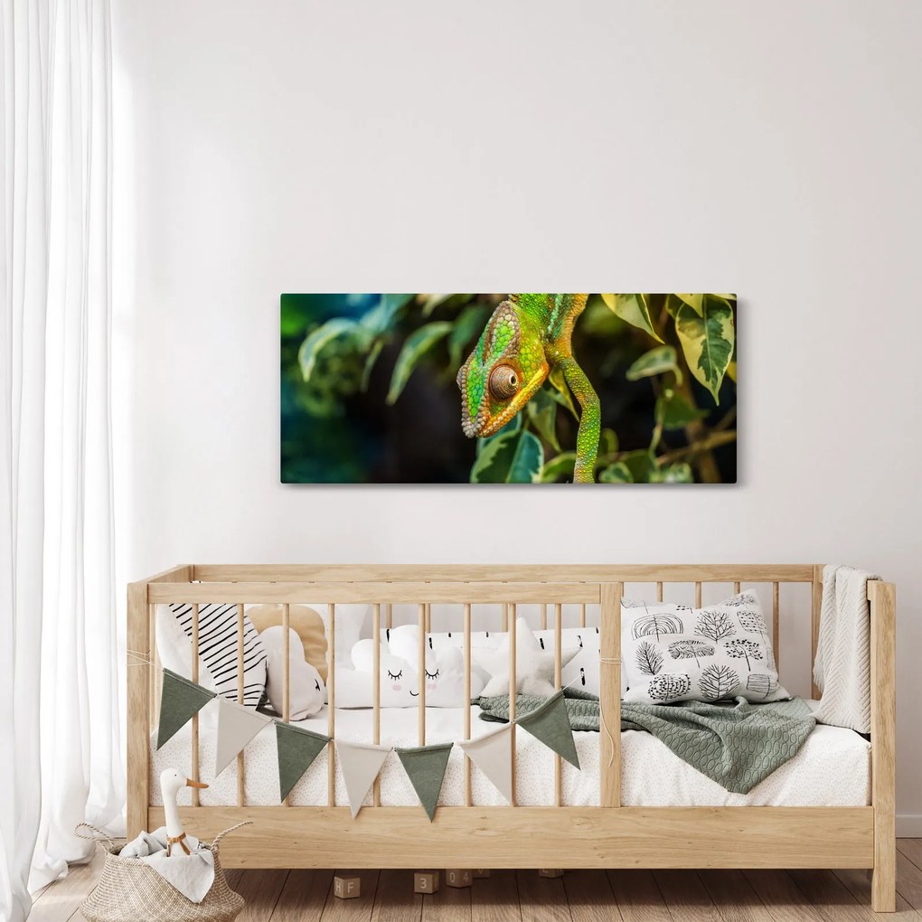 Tablou cu cameleon (120x50 cm)