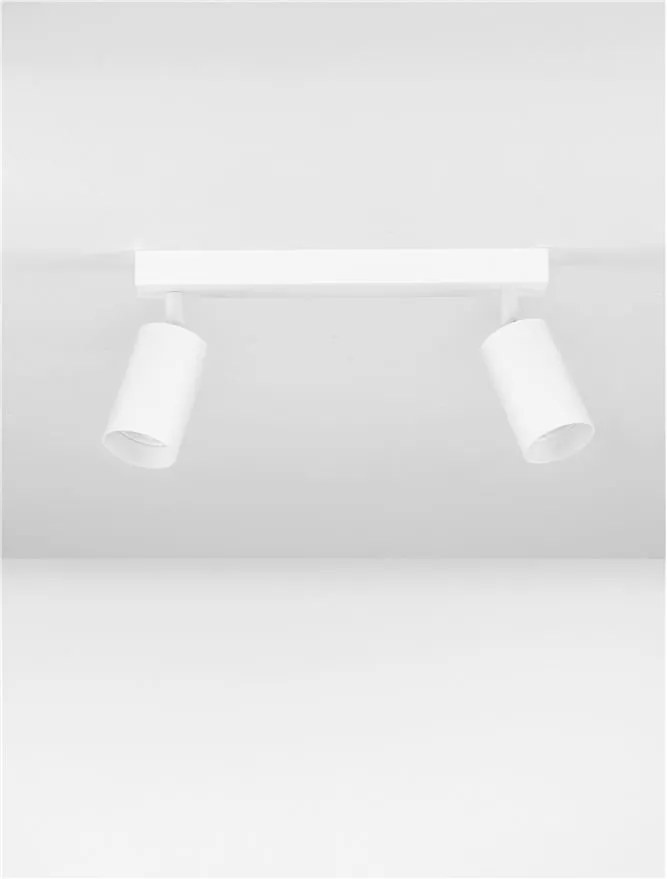 Plafoniera cu 2 Spoturi directionabile minimalista REIG, NVL-9011535