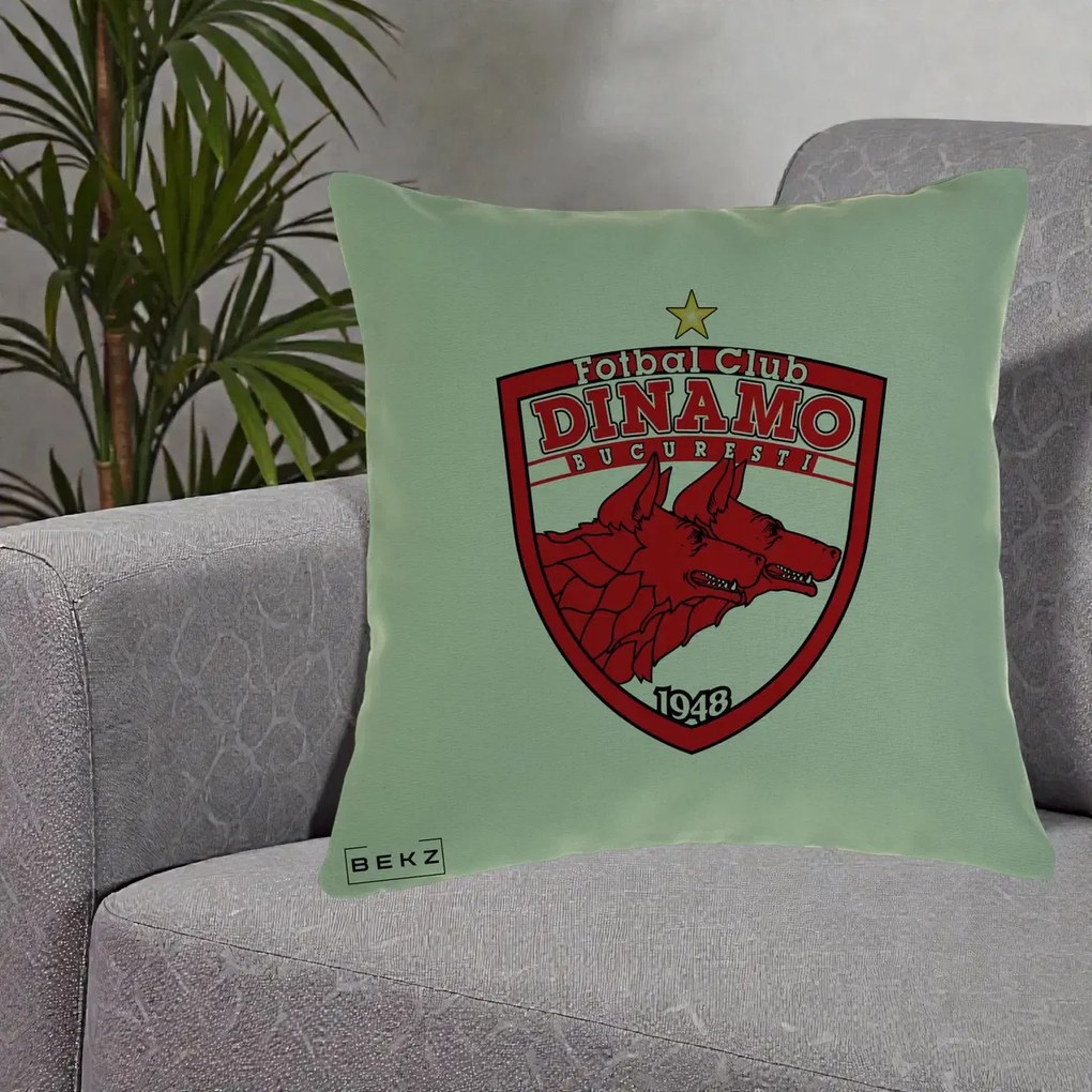Perna Personalizata FC Dinamo Bucuresti 1948 Fotbal, 40x40 cm, Verde, Husa Detasabila, Perna Inclusa, BEKZ®