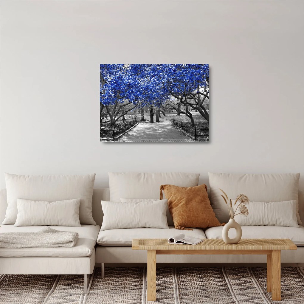 Tablou pe sticlă - Copaci albaștri Central Park, New York (70x50 cm)