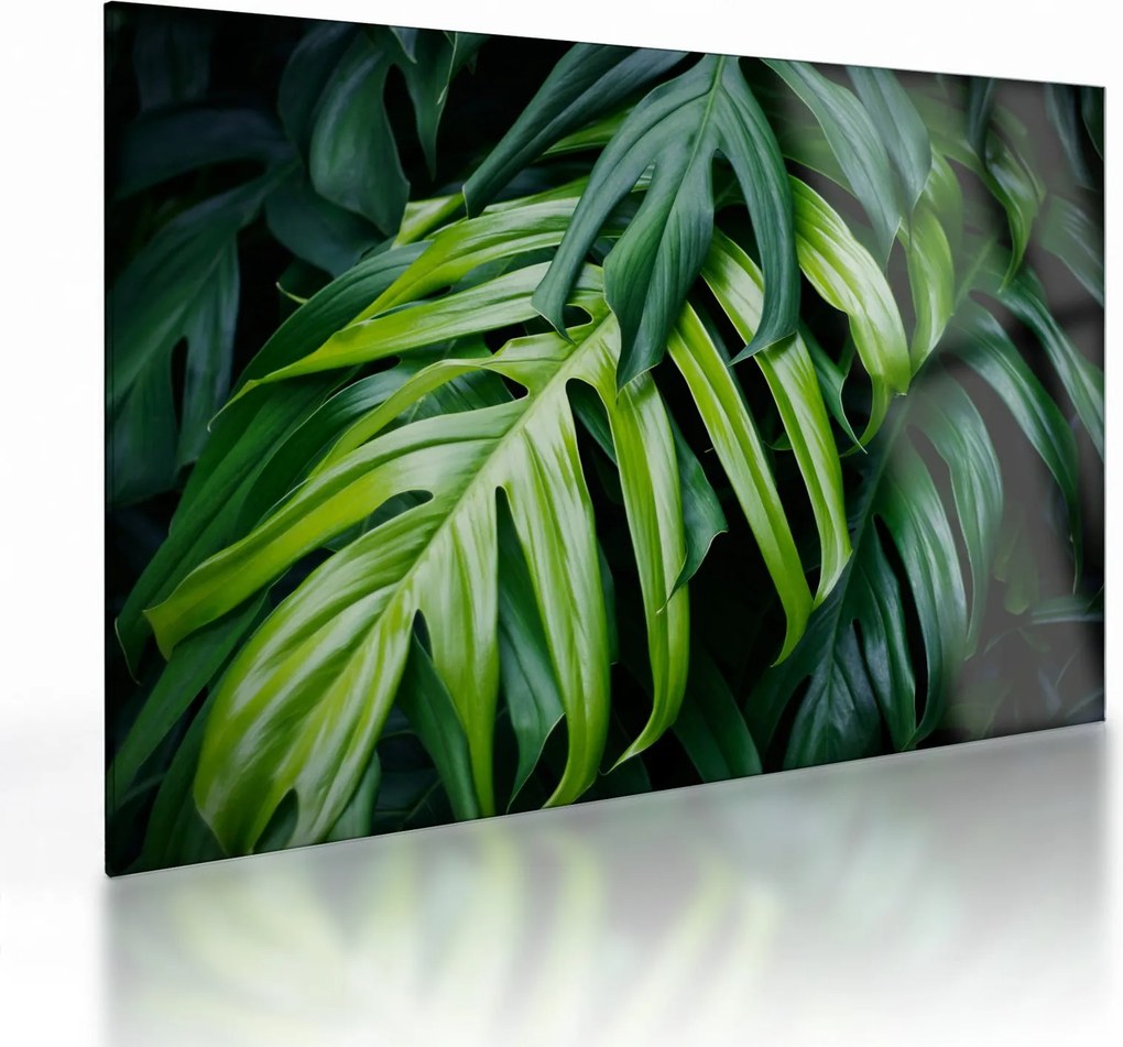Tablou pe sticlă - Frunze tropicale (70x50 cm)