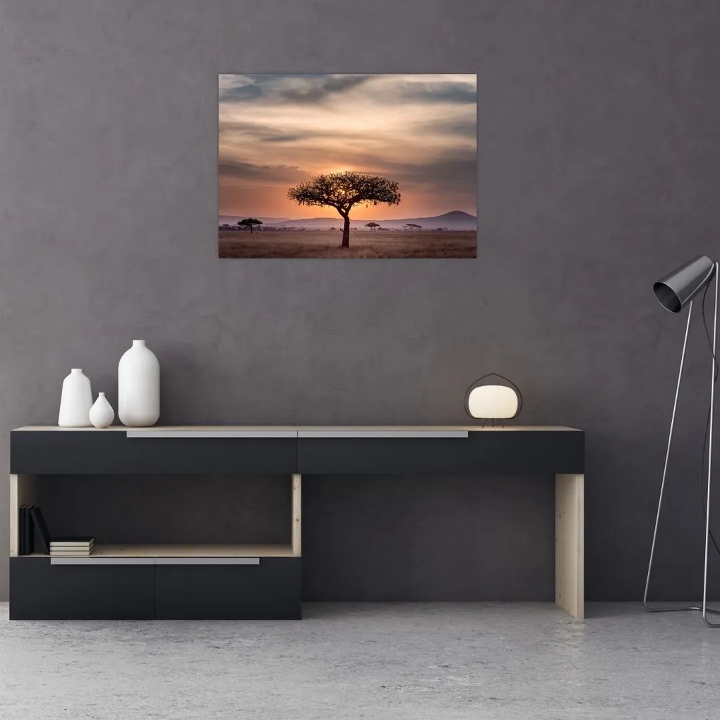 Tablou apusului de soare în Tanzania (70x50 cm)