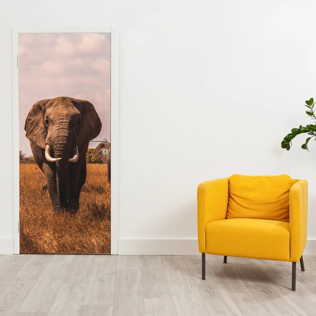 Fototapet pentru ușă - Sosirea elefantului (95x205cm)