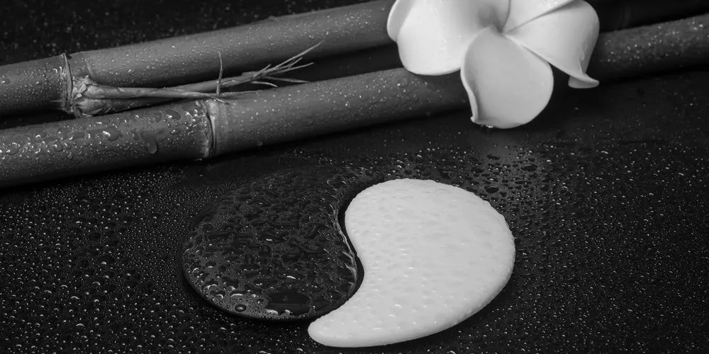 Tablou Spa natura moartă cu simbolul Yin și Yang în design alb-negru