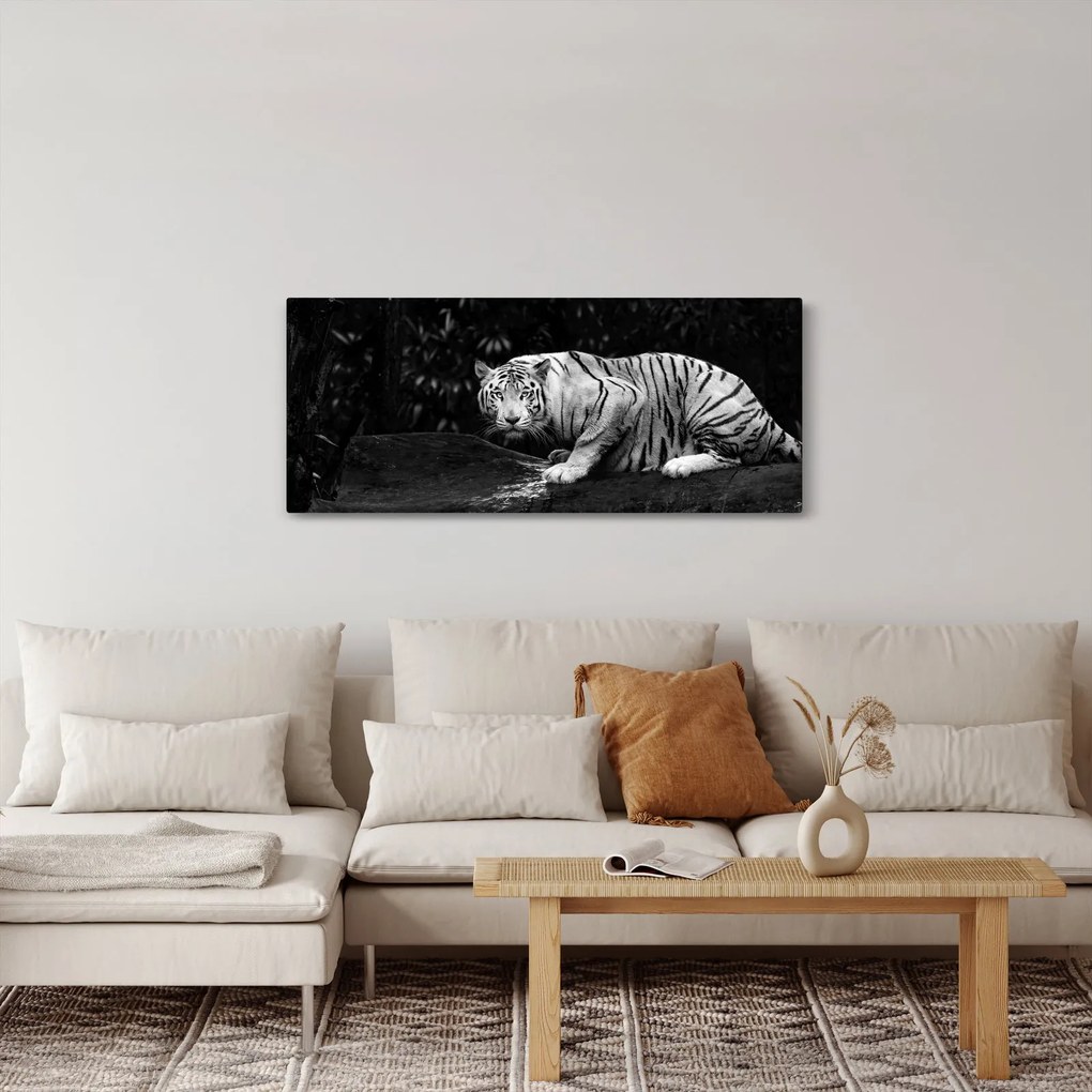 Tablou - Tigru alb, alb-negru (120x50 cm)