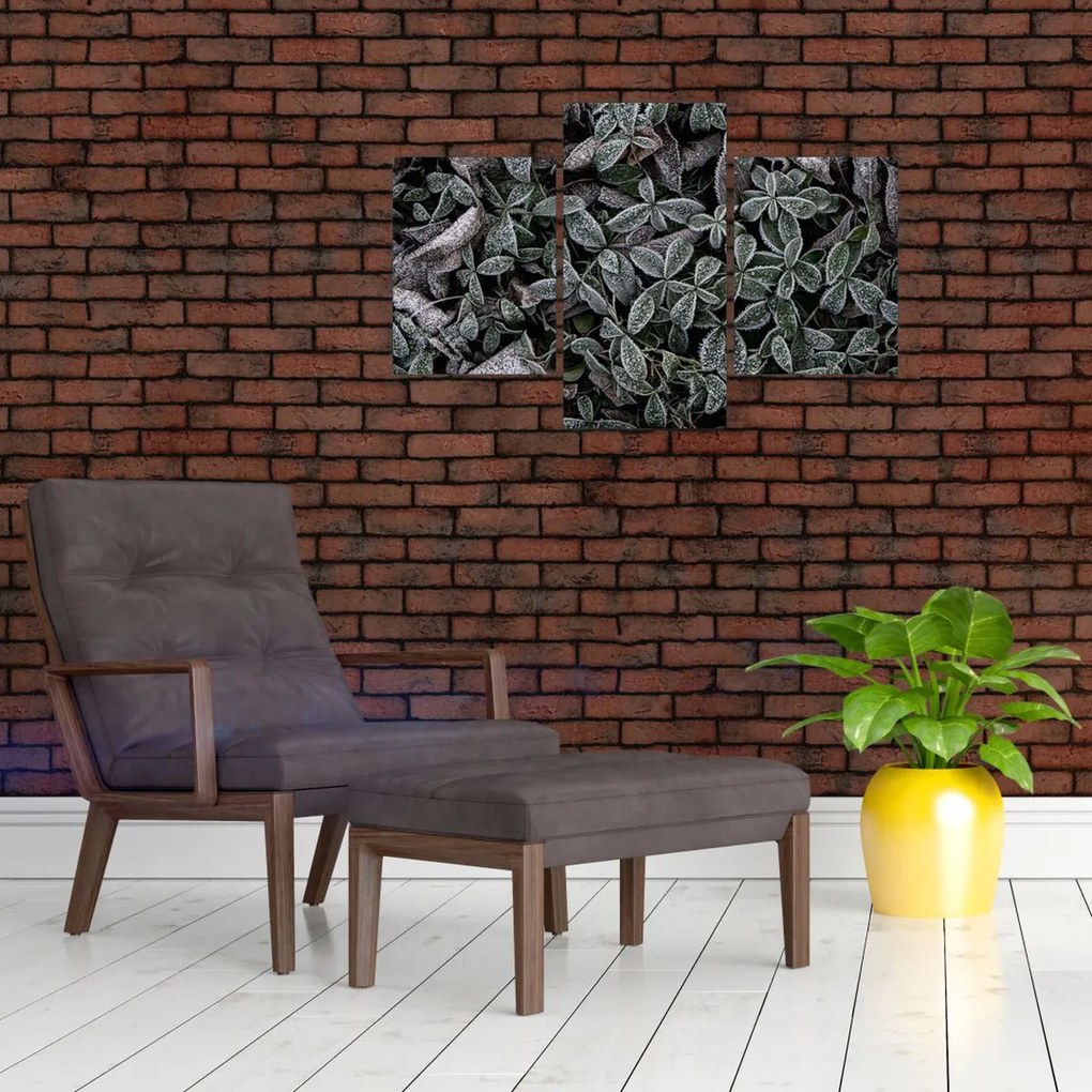 Tablou - Plante înghețate (90x60 cm)