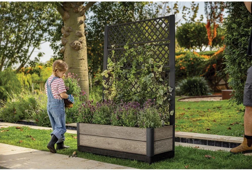 Pat ridicat de plante Deco – Keter