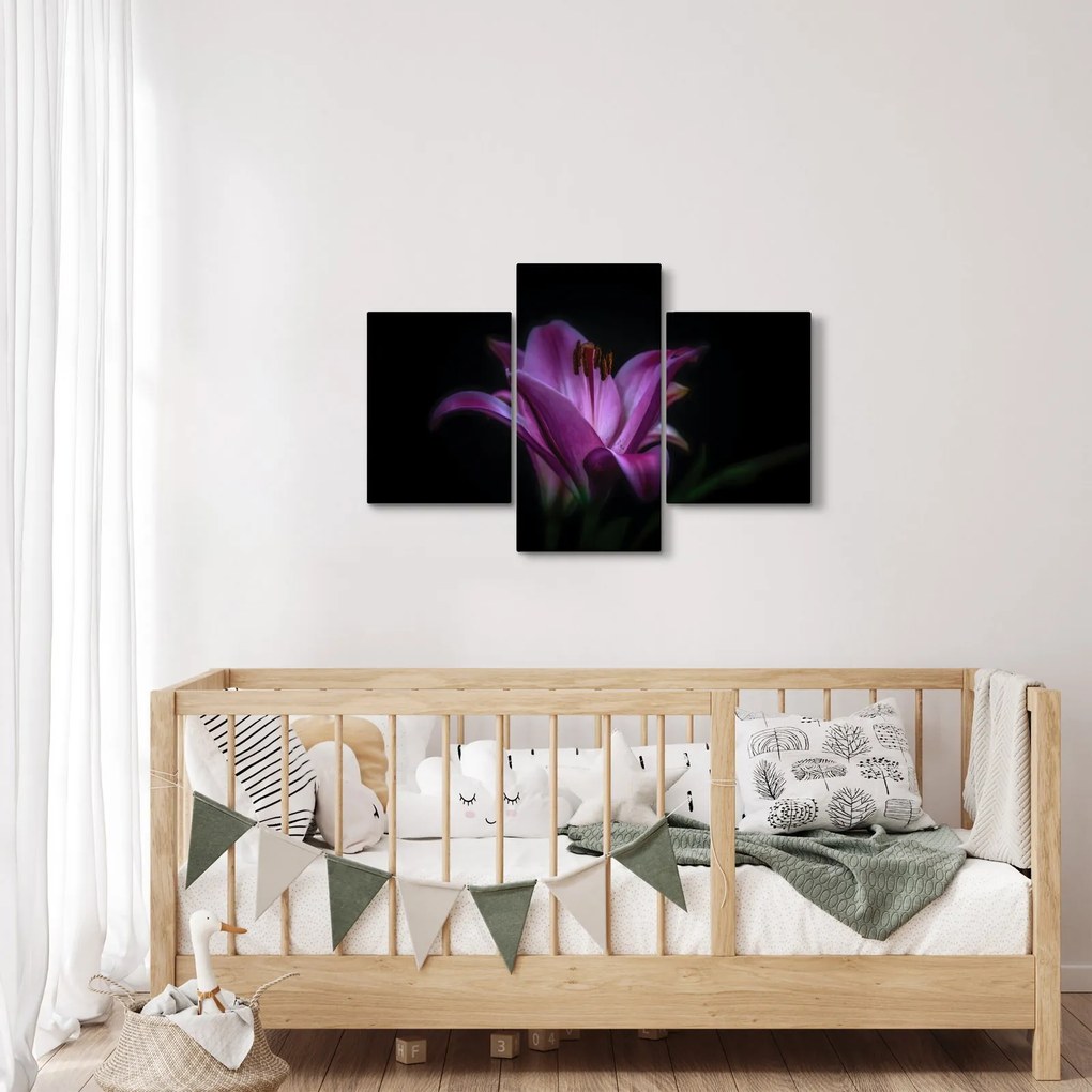 Tablou crinul (90x60 cm)
