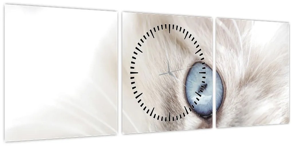 Tablou - Pisica cu ochi albaștri (cu ceas) (90x30 cm)