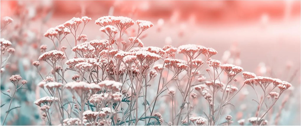 Tablou - Flori de câmp (120x50 cm)
