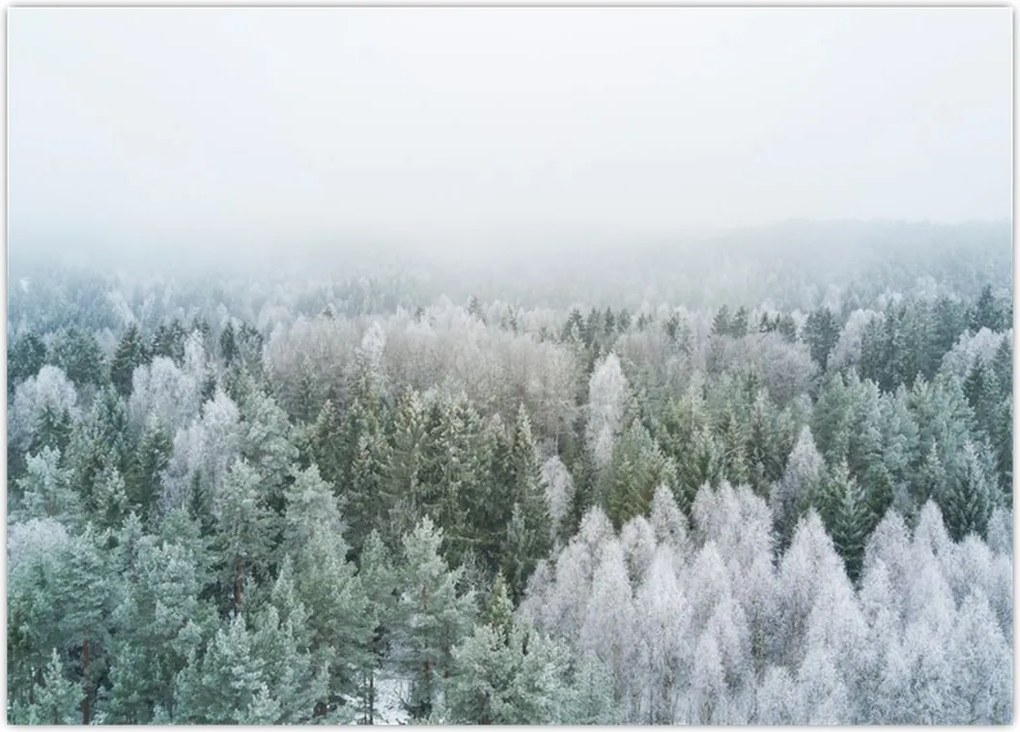 Tablou - Crestele munțillor înzăpezite (70x50 cm)