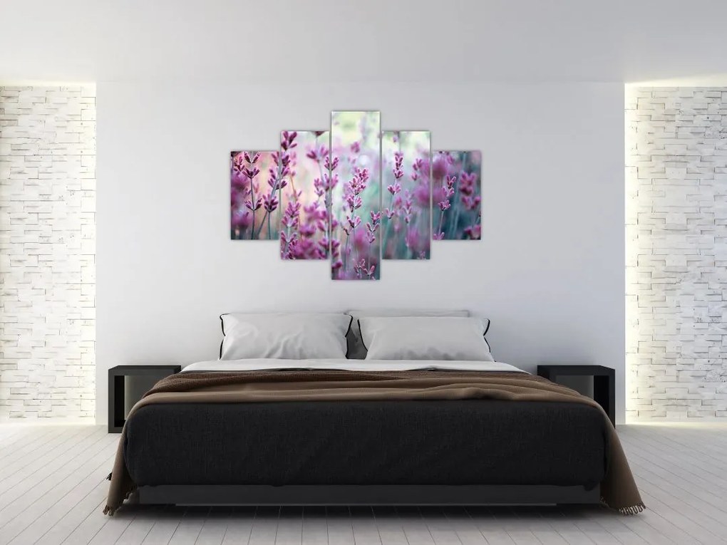 Tablou - Lavandă (150x105 cm)